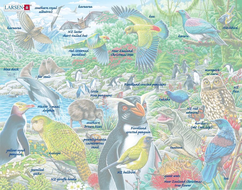 FH44 - New Zealand's Picturesque Wildlife (Illustrative image 5) FH44 - New Zealand's Picturesque Wildlife (Illustrative image 5)