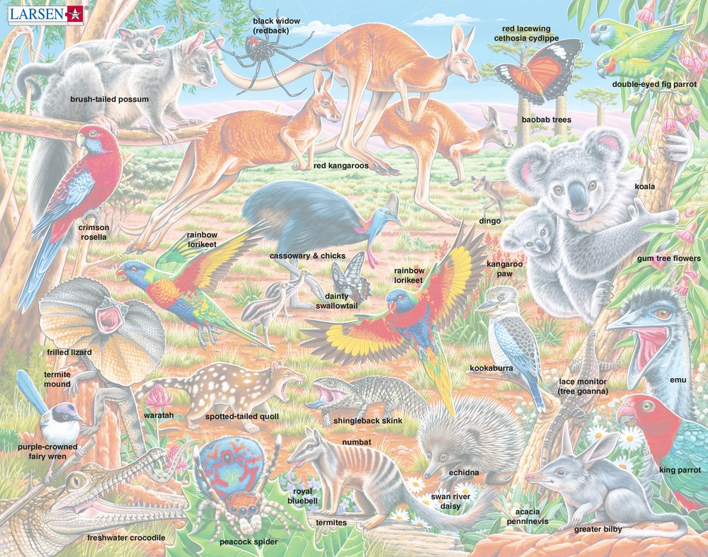 FH45 - Australias unike natur (Illustrasjonsbilde 5) FH45 - Australias unike natur (Illustrasjonsbilde 5)