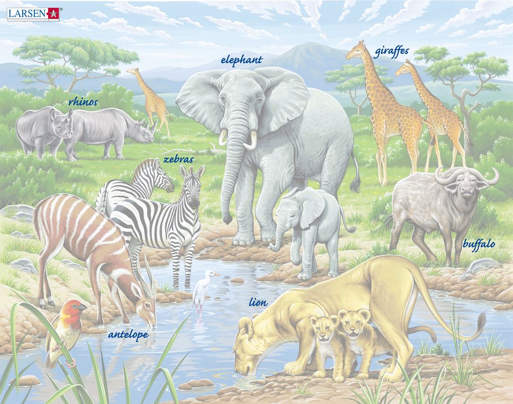 FH9 - Watering Hole on the African Savannah (Illustrative image 5) FH9 - Watering Hole on the African Savannah (Illustrative image 5)