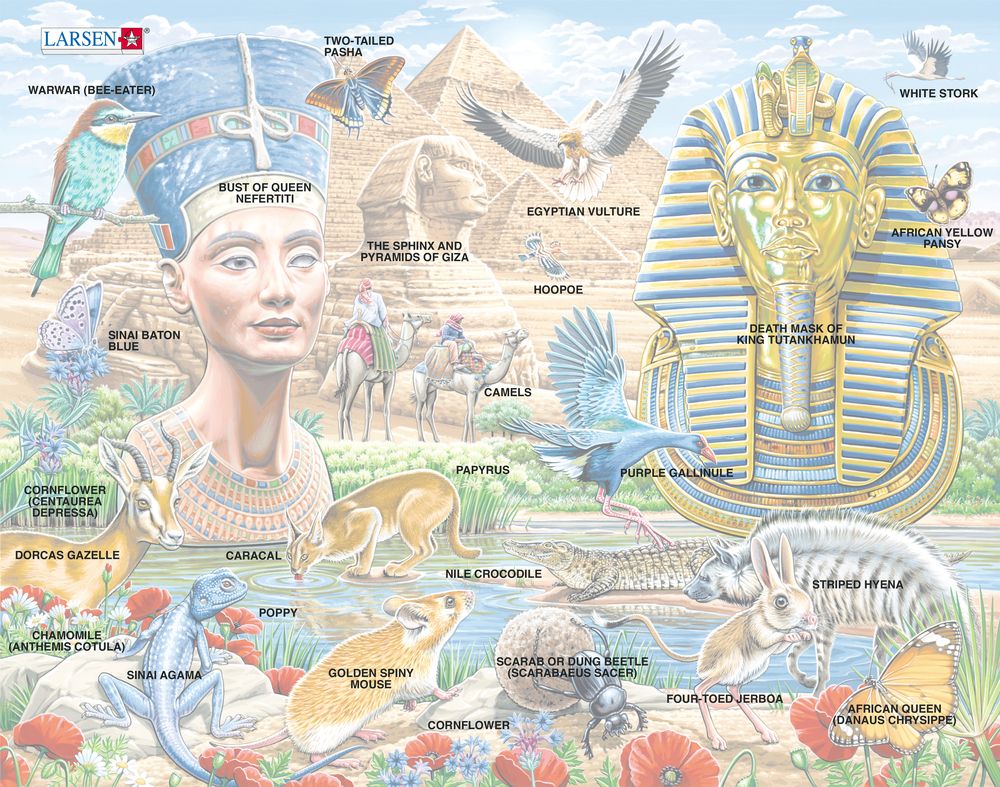 HL11 - Sfinksen og pyramidene, egyptisk dyreliv, Nefertiti og Tutankhamon. (Illustrasjonsbilde 5) HL11 - Sfinksen og pyramidene, egyptisk dyreliv, Nefertiti og Tutankhamon. (Illustrasjonsbilde 5)