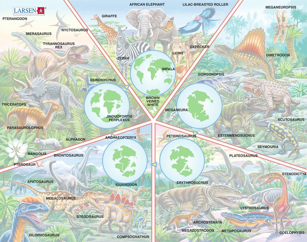 HL12 - Verden i endring (Illustrasjonsbilde 5)