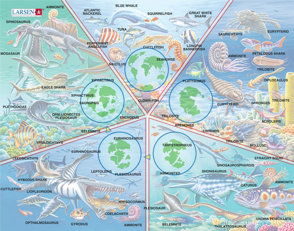 hl13 - Hav i endring (Illustrasjonsbilde 5) hl13 - Hav i endring (Illustrasjonsbilde 5)