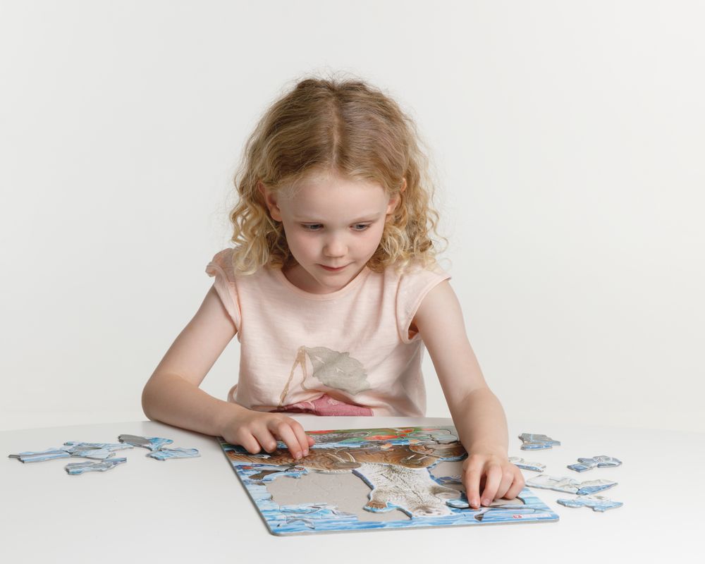 FH42 - Polar Bears and Walrus on the Artic Ice Pack (Illustrative image 6) FH42 - Polar Bears and Walrus on the Artic Ice Pack (Illustrative image 6)