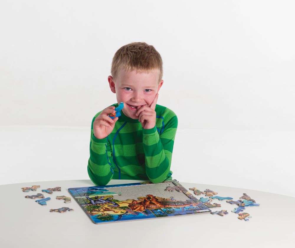 NB3 - Dinosaurer fra krittperioden (Illustrasjonsbilde 6)