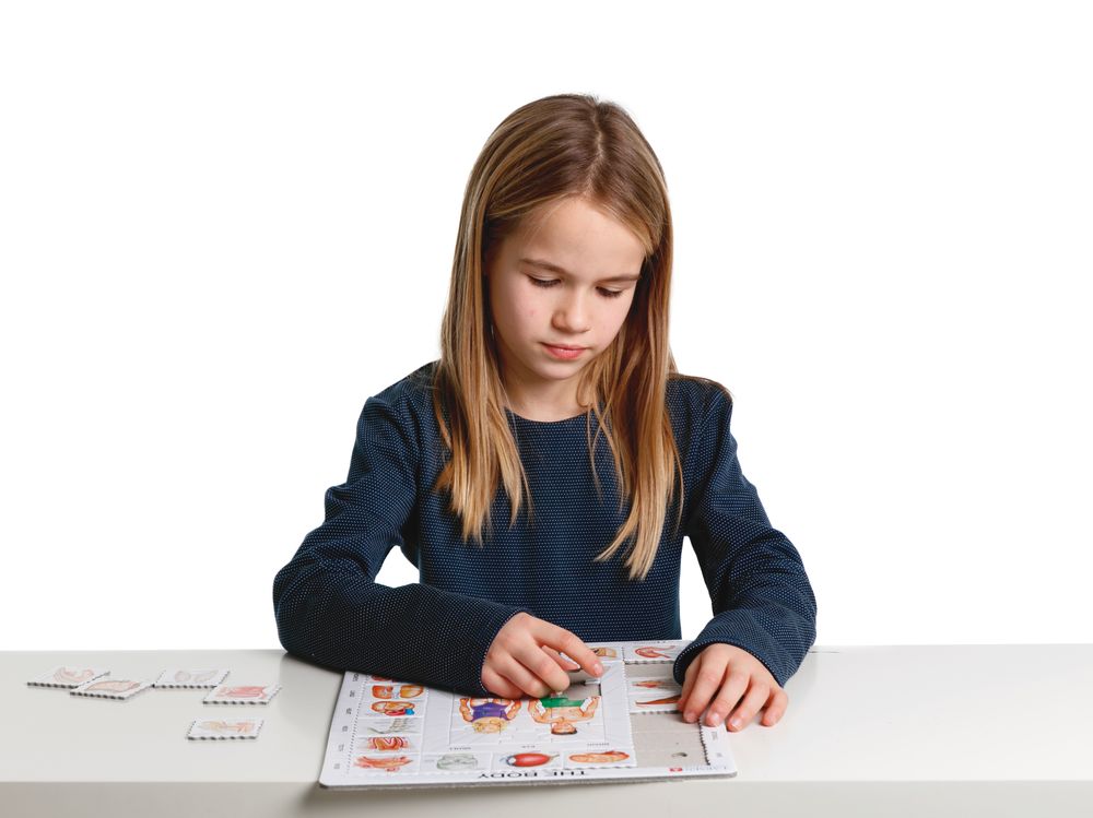 OB1 - Our Body (Illustrative image 6) OB1 - Our Body (Illustrative image 6)