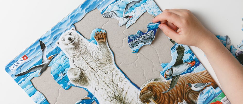 FH42 - Polar Bears and Walrus on the Artic Ice Pack (Illustrative image 7) FH42 - Polar Bears and Walrus on the Artic Ice Pack (Illustrative image 7)