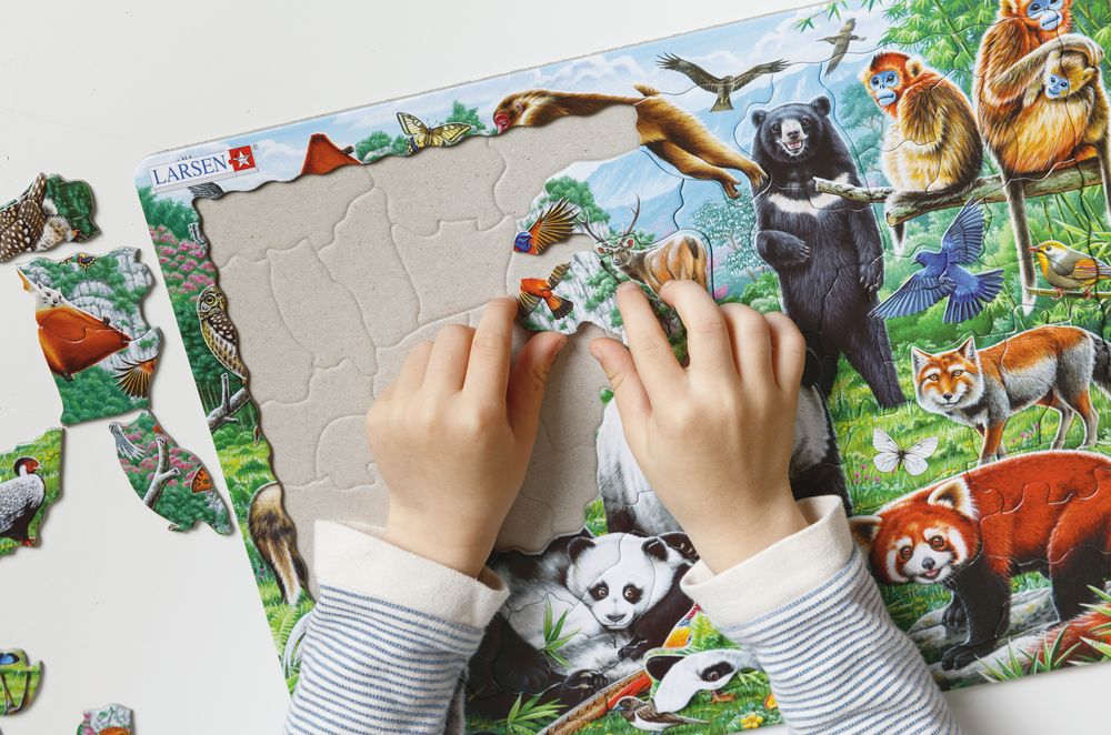 FH43 - Panda Bear Family on a China Mountain Plateau (Illustrative image 7) FH43 - Panda Bear Family on a China Mountain Plateau (Illustrative image 7)