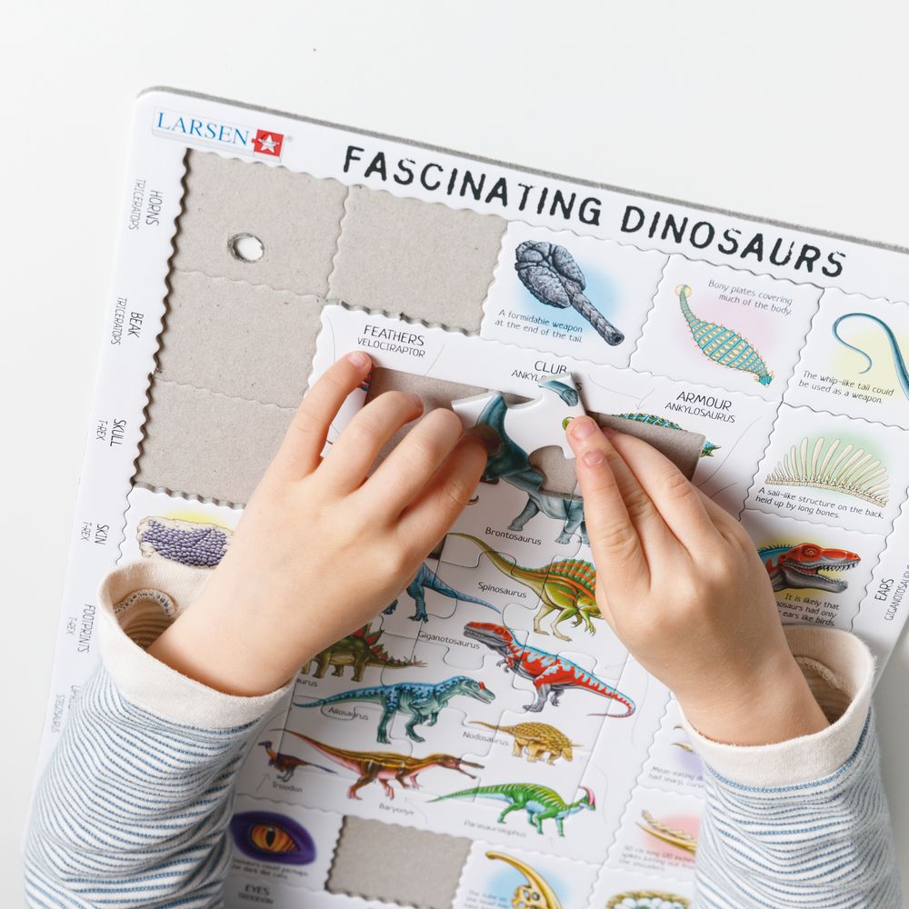 HL9 - Fascinating Dinosaurs (Illustrative image 7)