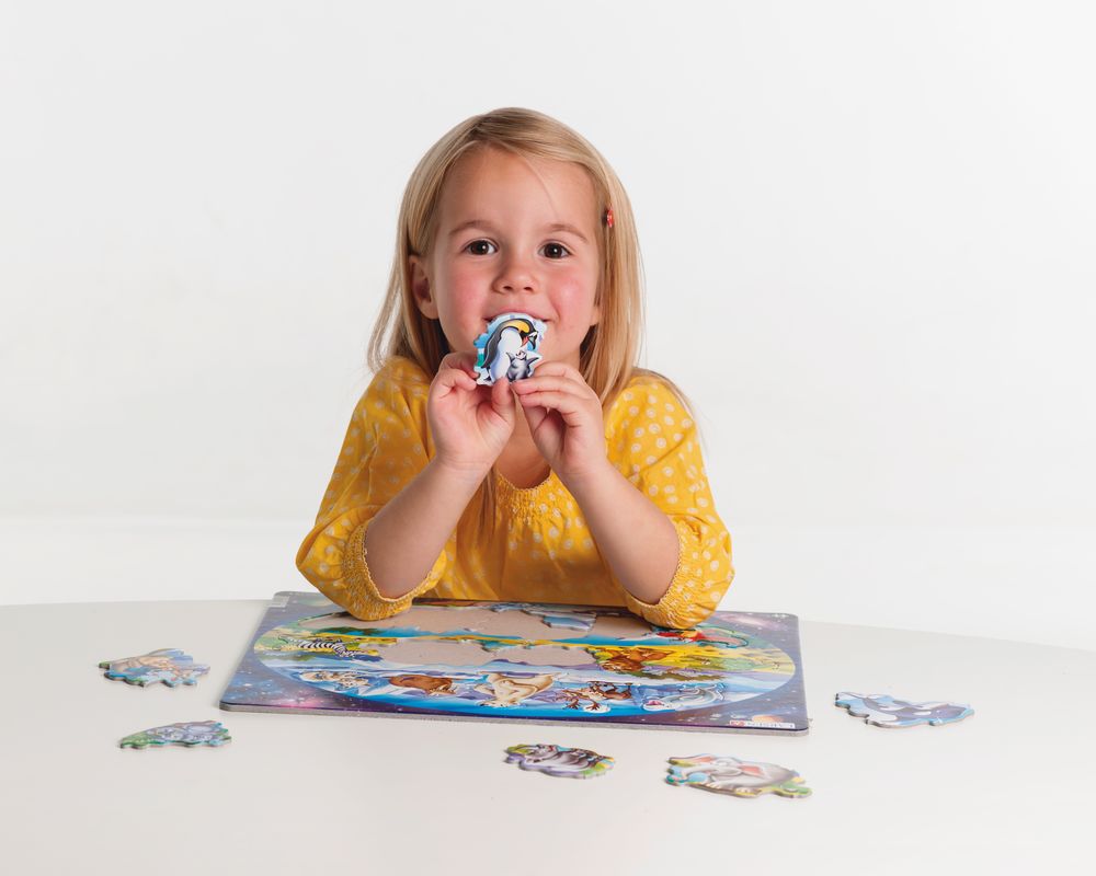 NM6 - Beginner Puzzle: Animals Around the World (Illustrative image 7)