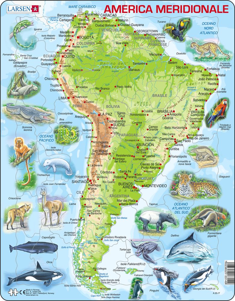 A25 South America Topographic - A25 IT.italian.1000
