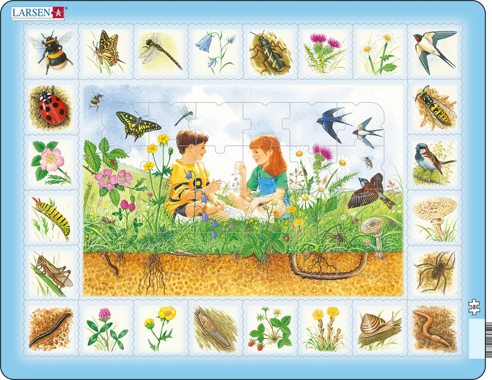 NA1 - Nature Puzzle: Field (Italian) NA1 - Nature Puzzle: Field (Italian)