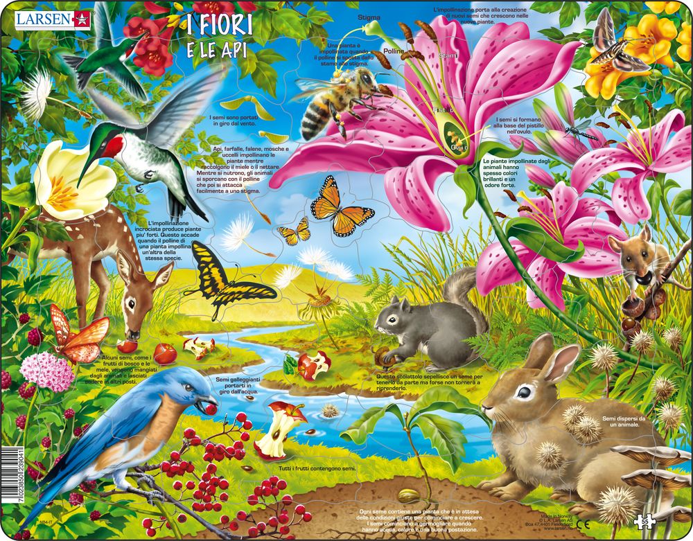 NB4 - The flowers and the Bees (Italian) NB4 - The flowers and the Bees (Italian)