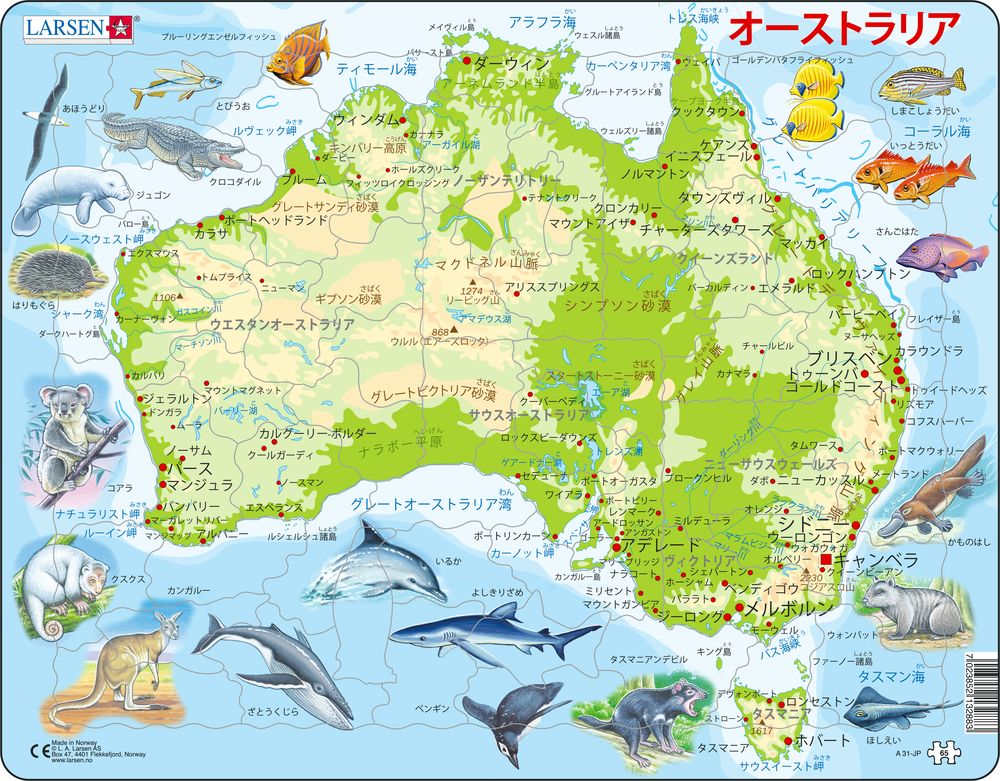 A31 - Australia Topographic Map (Japaneese)
