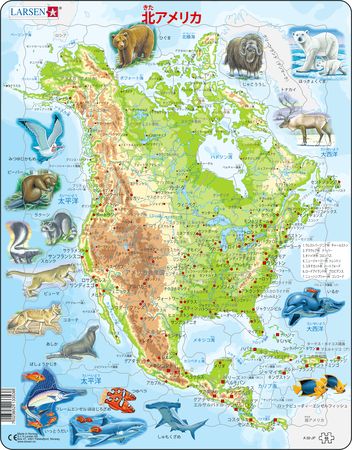 A32 - North America, Topographic map with animals