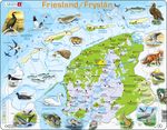 K80 - Friesland Physical with Animals