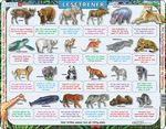 LS45 - Reading Trainer wild animals