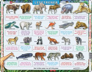 LS45 - Reading Trainer wild animals