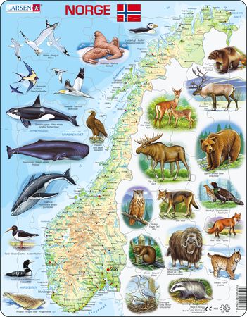 K68 - Norway Physical with Animals