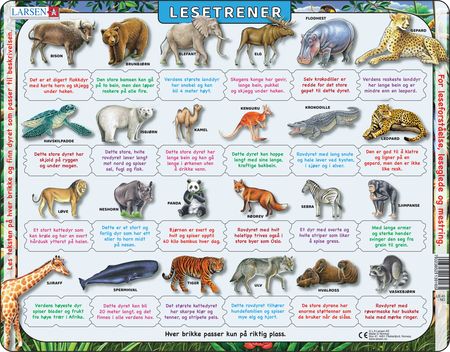 LS45 - Reading Trainer wild animals