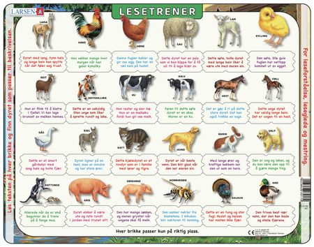 LS46 - Reading Trainer farm animals