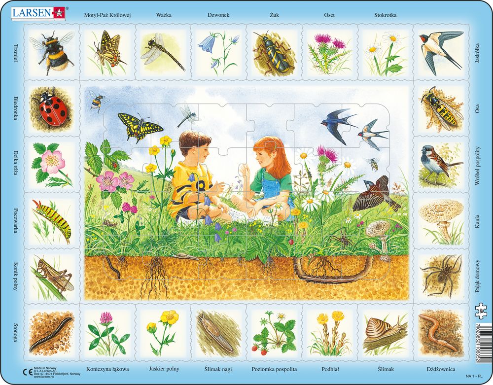 NA1 - Nature Puzzle: Field (Polish) NA1 - Nature Puzzle: Field (Polish)