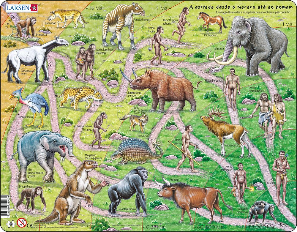 HL3 - Veien fra Ape til Mennesket (Portugisisk) HL3 - Veien fra Ape til Mennesket (Portugisisk)