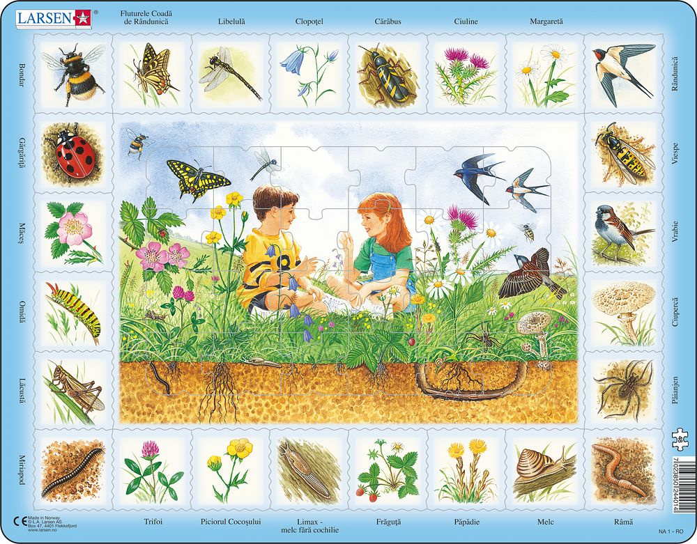 NA1 - Nature Puzzle: Field (Romania) NA1 - Nature Puzzle: Field (Romania)