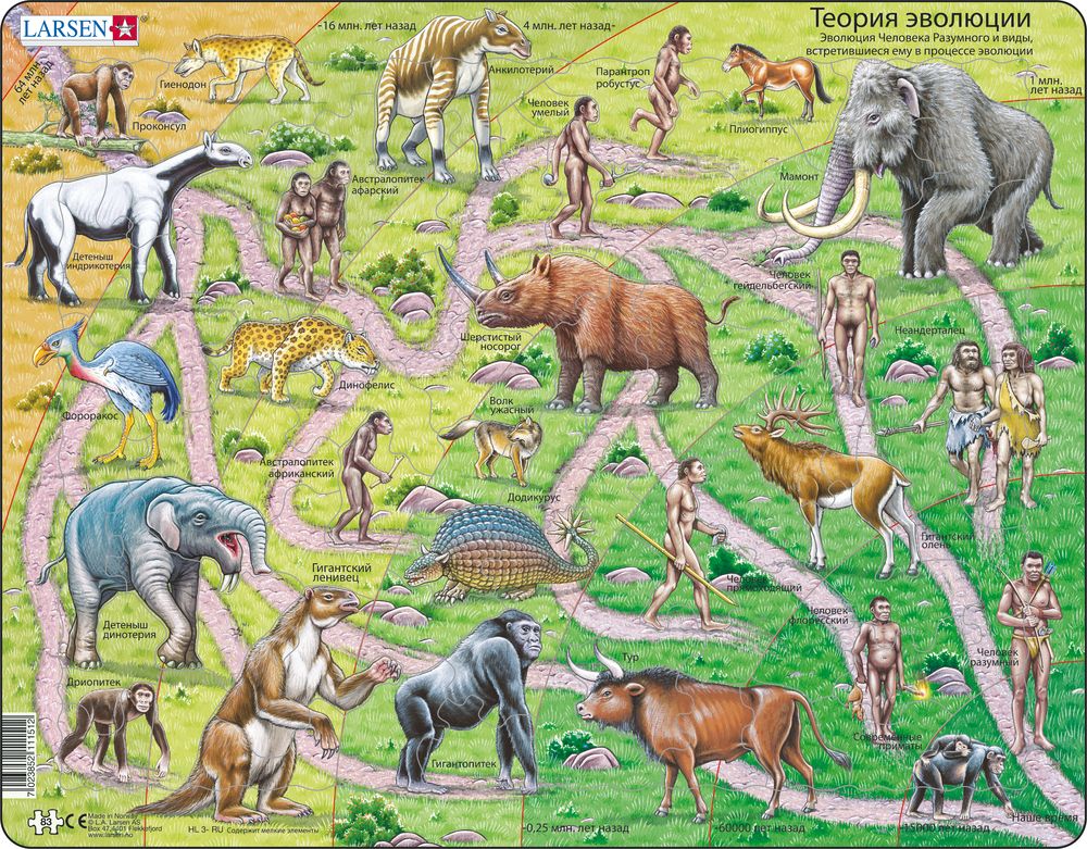 HL3 - Veien fra Ape til Mennesket (Russisk) HL3 - Veien fra Ape til Mennesket (Russisk)