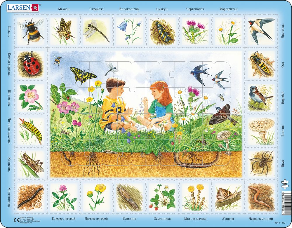 NA1 - Nature Puzzle: Field (Russian) NA1 - Nature Puzzle: Field (Russian)