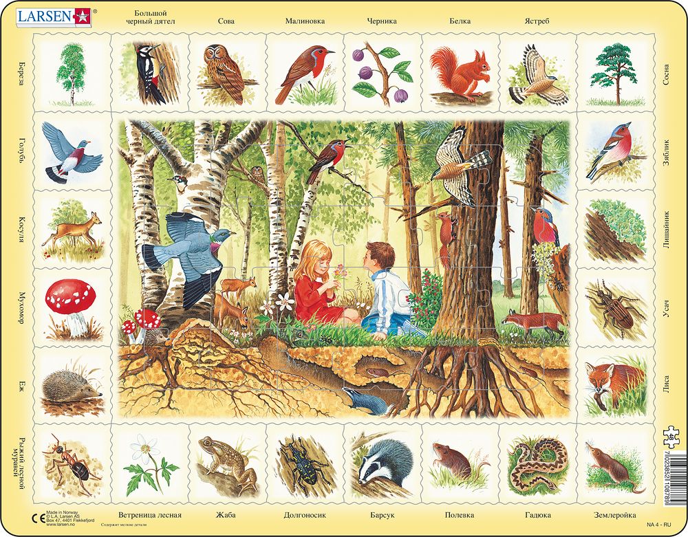 NA4 - Nature Puzzle: Forest (Russian) NA4 - Nature Puzzle: Forest (Russian)