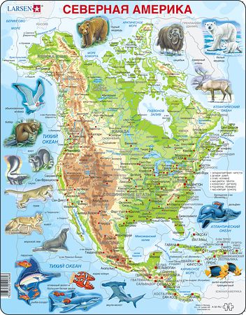 A32 - North America, Topographic map with animals