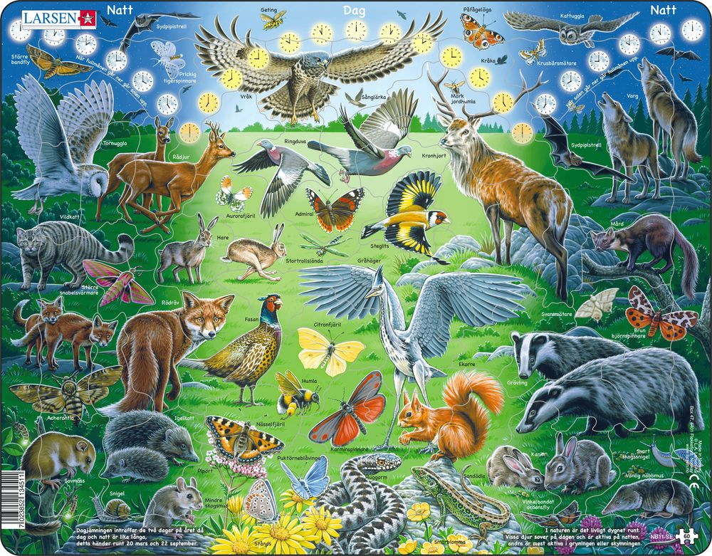 NB11 - Natt og dag (Svensk)