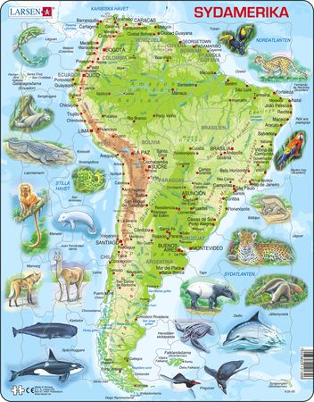 A25 - South America Topographic Map