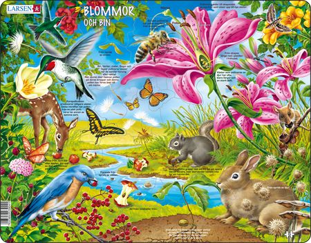 NB4 - Blomstene og biene