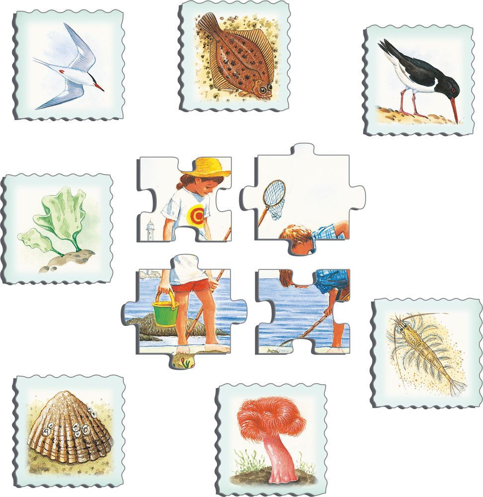 Larsen NA2 Puzzle Double Challenge – Il Mare, 48 Pezzi Incorniciati, Educativo Per Bambini, Fatto In Norvegia