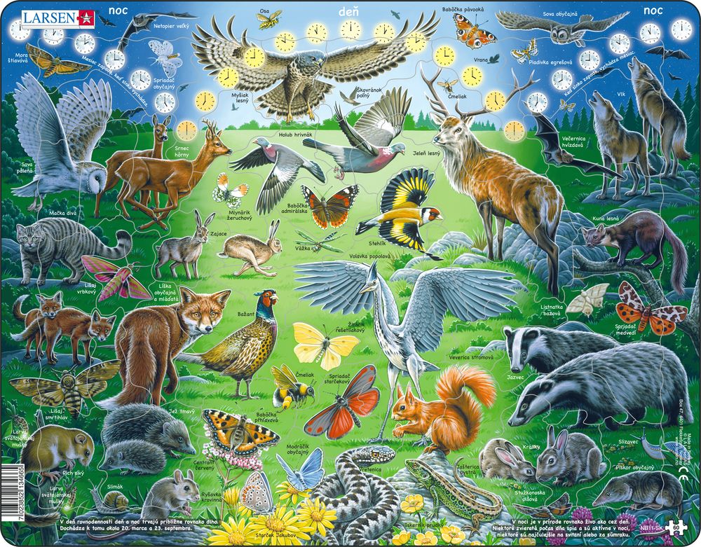 NB11 - Natt og dag (Slovakisk)