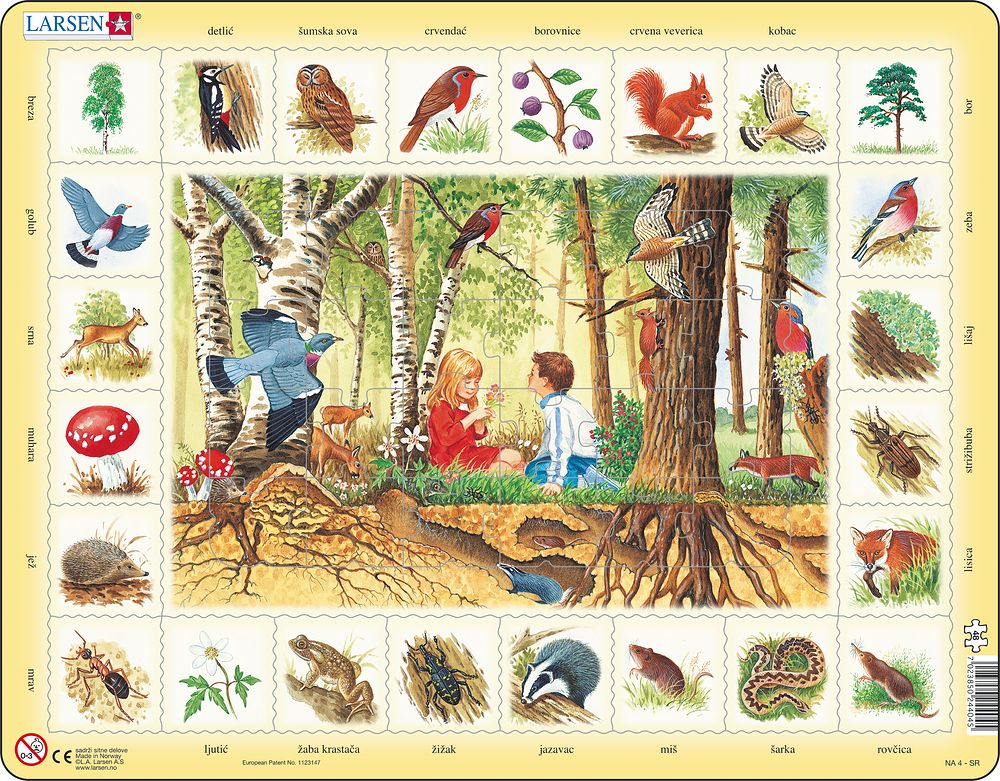 NA4 - Nature Puzzle: Forest (Serbian) NA4 - Nature Puzzle: Forest (Serbian)