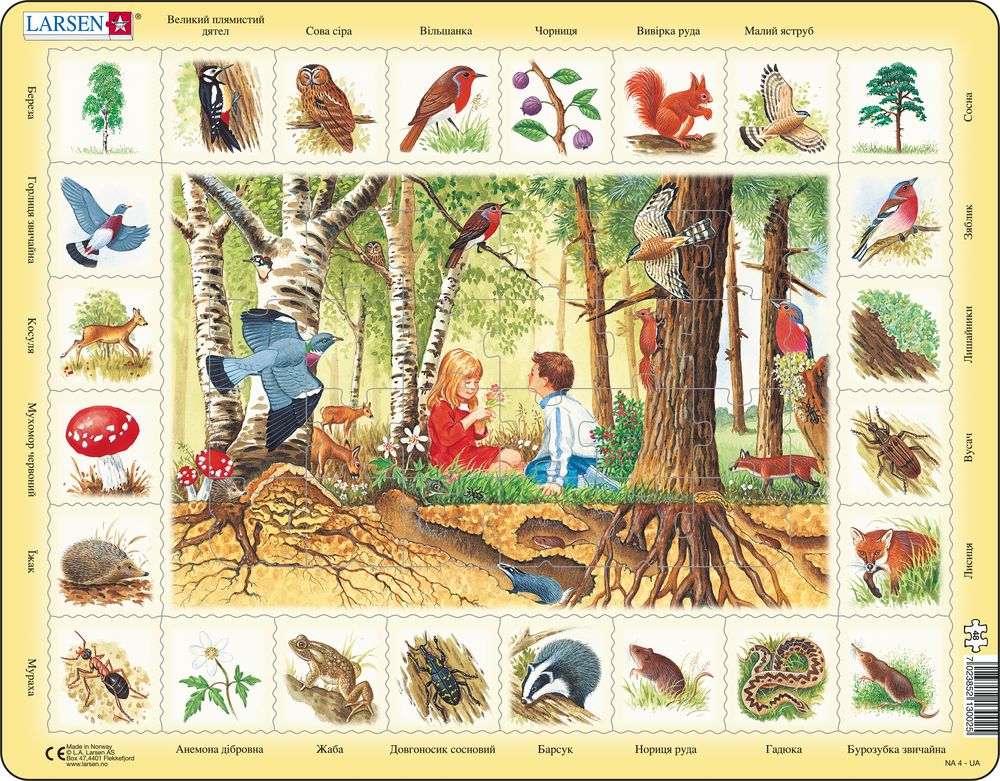 NA4 - Nature Puzzle: Forest (Ukrainian) NA4 - Nature Puzzle: Forest (Ukrainian)