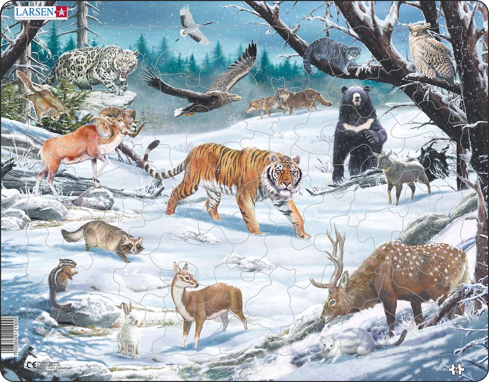 FH34 - Winter Wildlife in Siberia and Northeast Asia (Neutral) FH34 - Winter Wildlife in Siberia and Northeast Asia (Neutral)