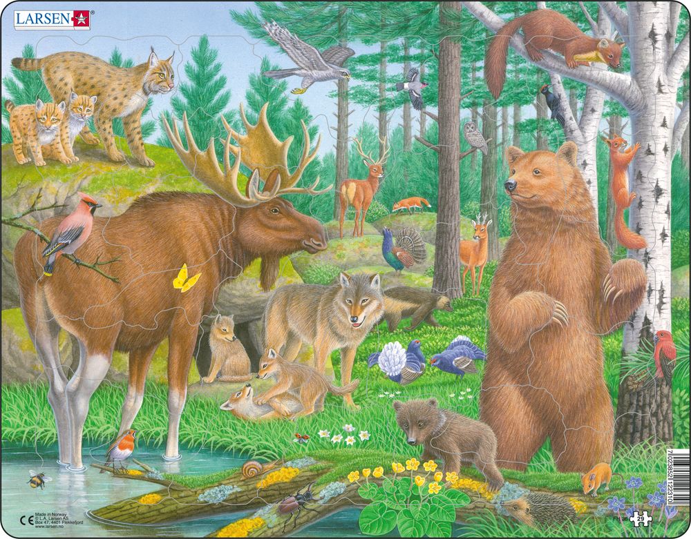 FH36 - Wildlife of the Northern Forest (Neutral) FH36 - Wildlife of the Northern Forest (Neutral)