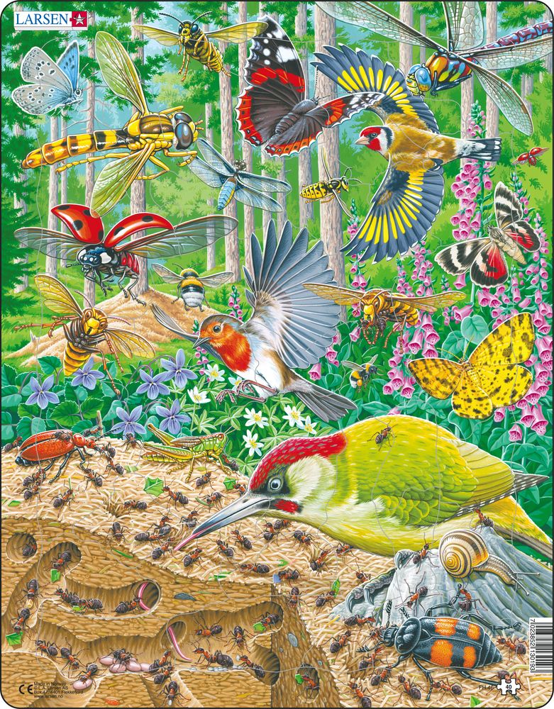 FH46 - Bustling Life on the Forest Floor (Neutral) FH46 - Bustling Life on the Forest Floor (Neutral)