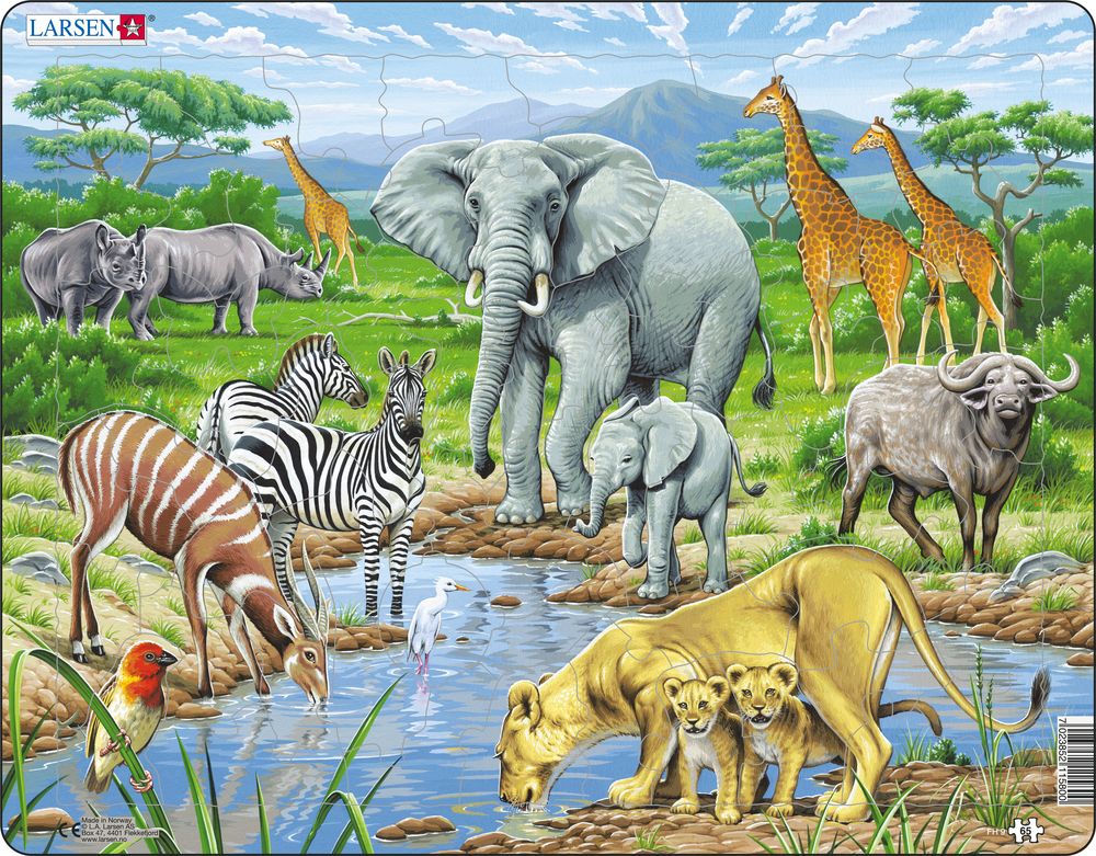FH9 - Watering Hole on the African Savannah (Neutral) FH9 - Watering Hole on the African Savannah (Neutral)