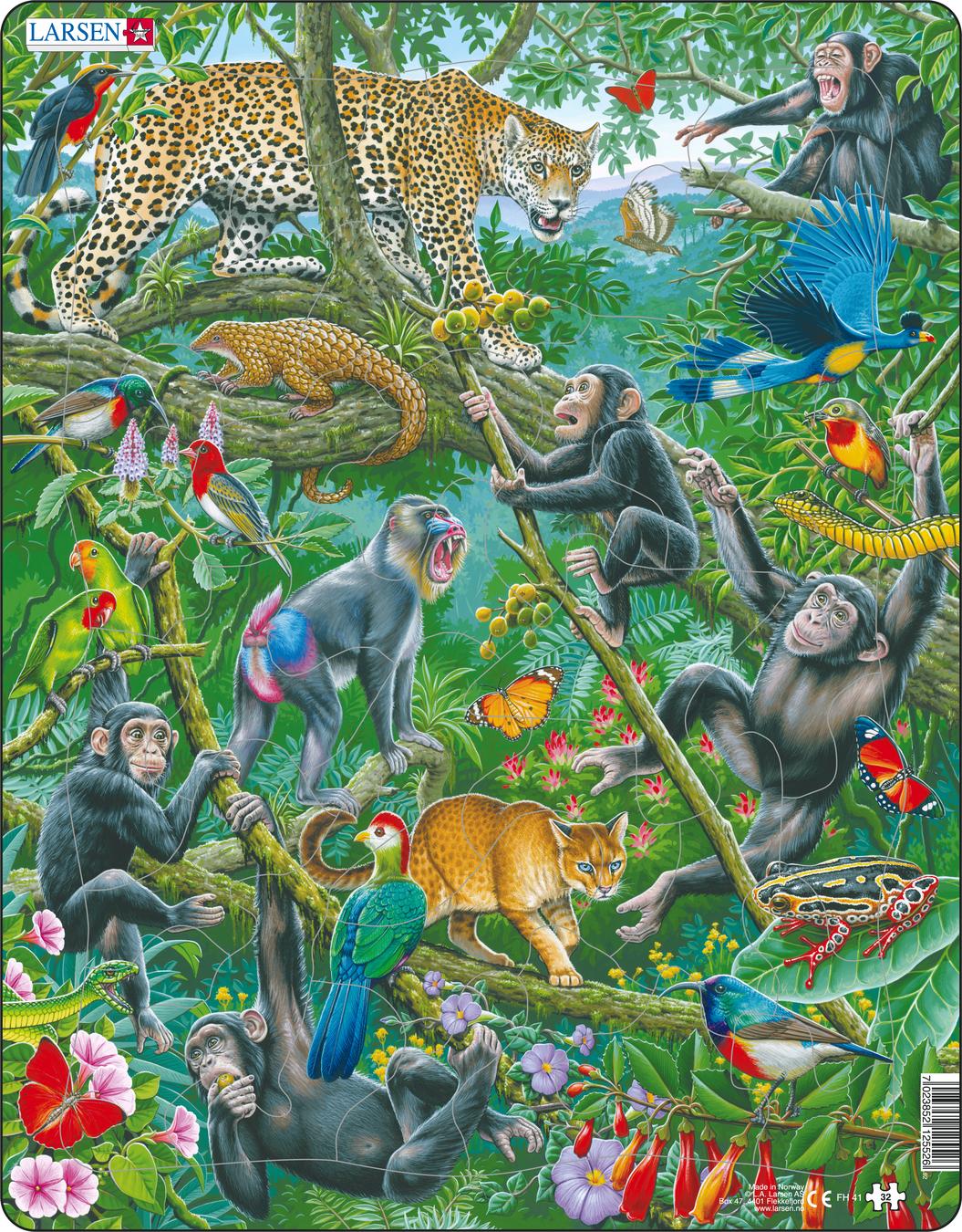 Wild Animal In The Dog Family Crossword FH41 - A Dense African Rainforest :: Animals :: Puzzles :: Larsen Puzzles
