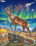 FH26 - Reindeer in Northern Lights
