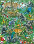 FH41 - A Dense African Rainforest
