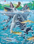 FH47 - Humpback Whales in a School of Herrings