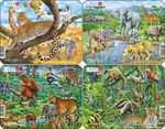 Z8 - Exotic animals