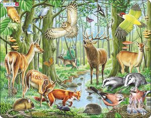 Larsen CZ2 Puzzle Incorniciato 42 Pezzi - Selfie Della Foresta Felice, Con Pezzi Sagomati E Vassoio, Per Bambini, Dimensioni 36,5x28,5 Cm