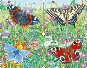 M14 - Butterflies in a flower meadow