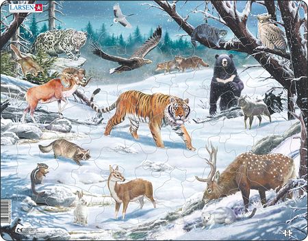 FH34 - Winter Wildlife in Siberia and Northeast Asia